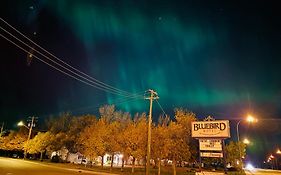 Bluebird Motel